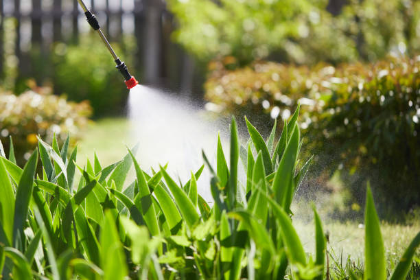 Tamper-Resistant Bait Stations for Rodents in Washington Mills