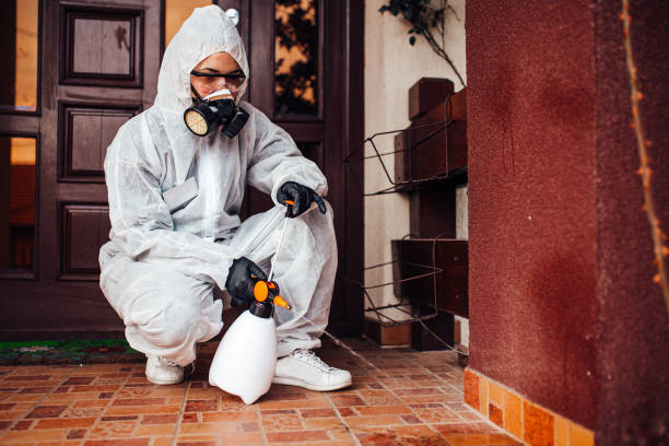 Attic and Crawl Space Rodent Treatment in Washington Mills