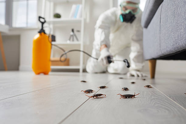 Commercial Rodent Management in Washington Mills